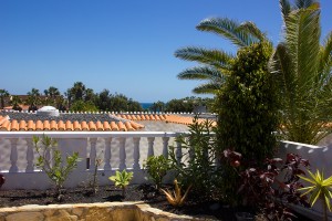 IMG_3718 (1)       